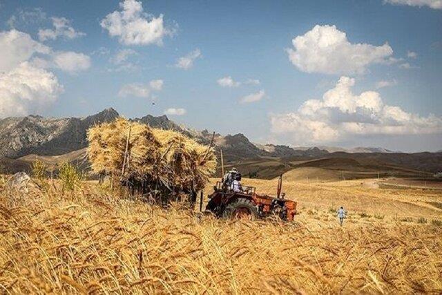 فلسفی: ۲۵ درصد تسهیلات اعطایی بانک ها باید به کشاورزان اختصاص یابد