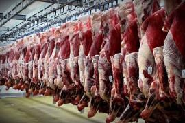 با توجه به ادامه دار بودن افزایش قیمت ها ؛راز گرانی گوشت قرمز چیست؟ 